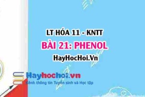 Tính chất hóa học Phenol, tính chất vật lí Phenol? Khái niệm, cấu tạo, điều chế và ứng dụng Phenol? Hóa 11 bài 21 KNTT